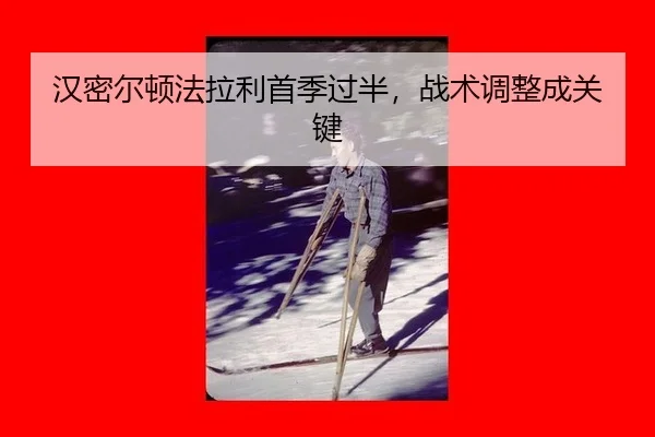 han-mi-er-dun-fa-la-li-shou-ji-guo-ban-zhan-shu-tiao-zheng-cheng-guan-jian-3-567.jpg