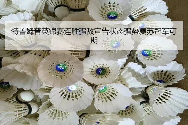 te-lu-mu-pu-ying-jin-sai-lian-sheng-qiang-di-xuan-gao-zhuang-tai-qiang-shi-fu-su-guan-jun-ke-qi-2-659.jpg